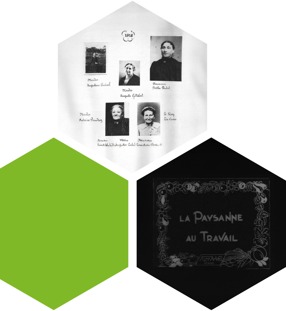 alvelole-droite-histoire